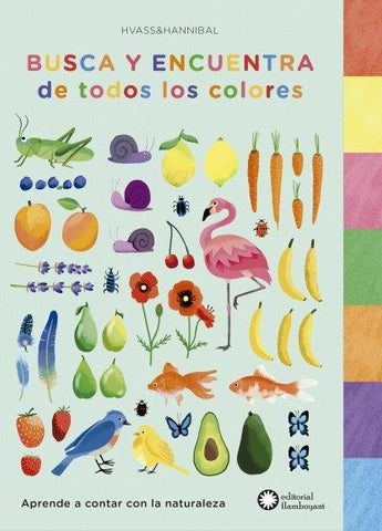 Books in Spanish for kids - Busca y encuentra de todos los colores