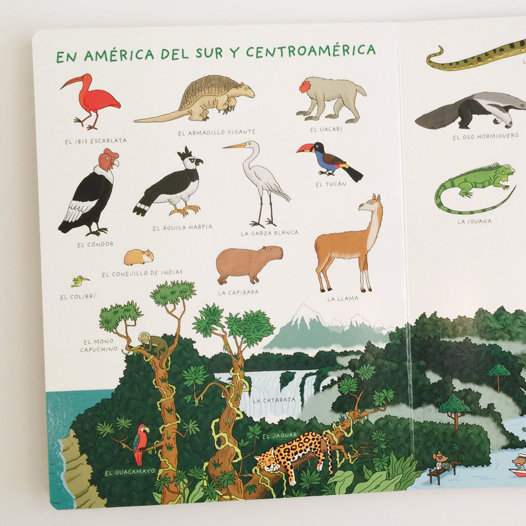 Mi primer libro de los animales marinos :: LANG, ANNA :: Eccomi :: Libros  :: Dideco